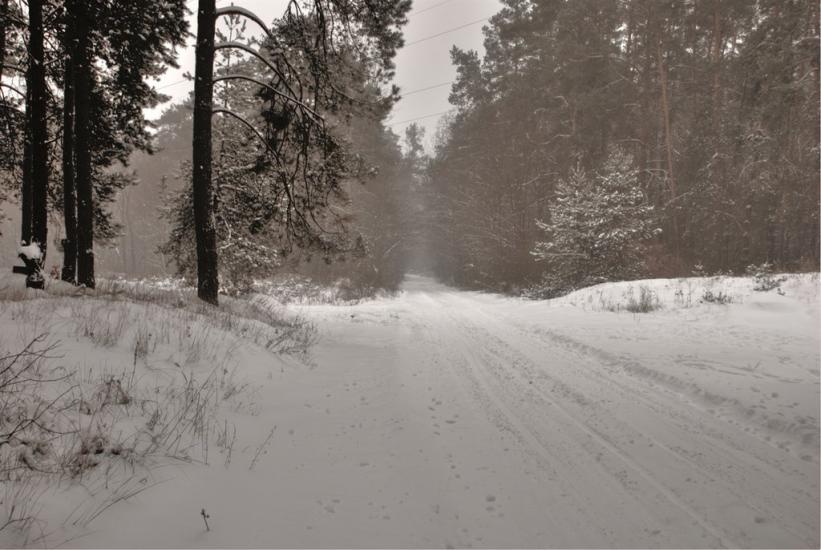 Свидівок з panoramio.com - Svydivok