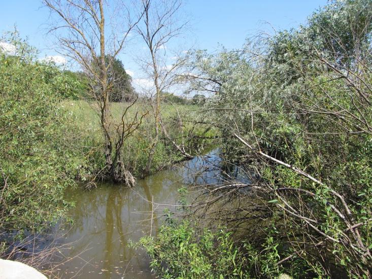 Попівка з panoramio.com - Попівка