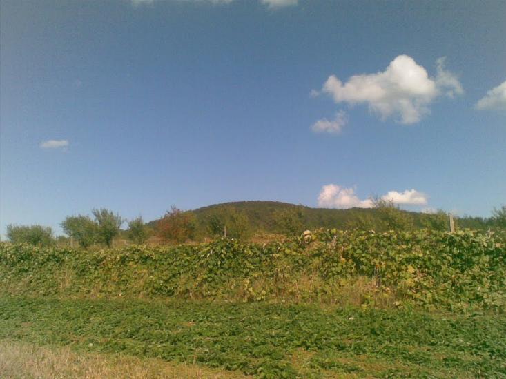 Холмовець з panoramio.com - Холмовець