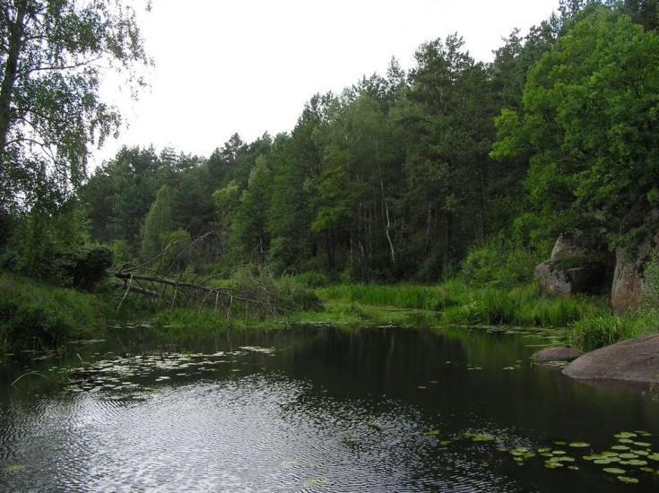 Струмок з panoramio.com - Струмок