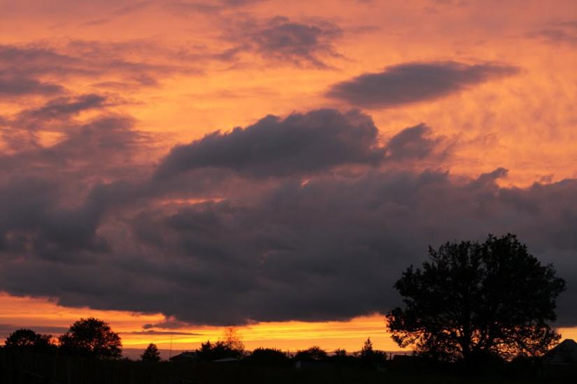 Гута-Межигірська з panoramio.com - Гута-Межигорская