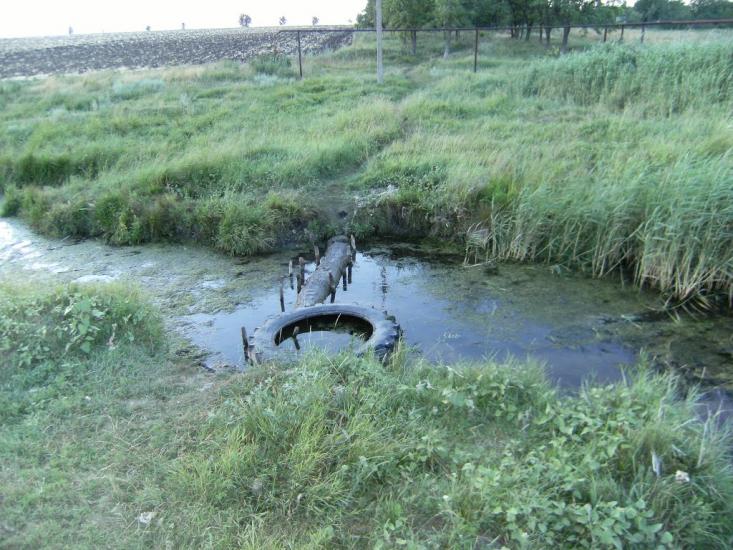 Козацьке з panoramio.com - Козацьке