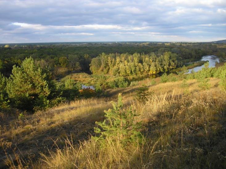 Крива Лука з panoramio.com - Крива Лука