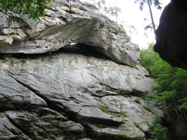 Хорови з panoramio.com - Хоровы