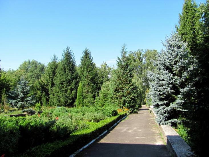 Нетреба з panoramio.com - Нетреба