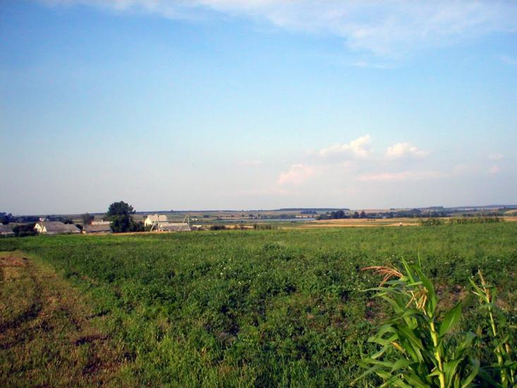 Рогізне з panoramio.com - Рогозное