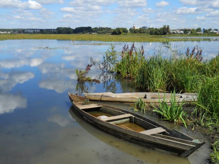 Бар з panoramio.com - Bar