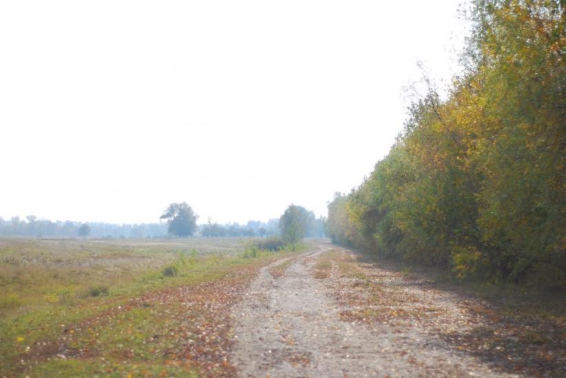 Остапівка з panoramio.com - Остаповка