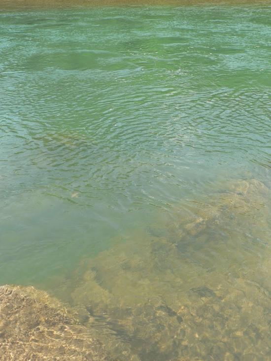 Нижній Бистрий з panoramio.com - Нижній Бистрий