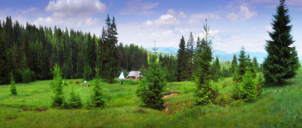 Потік з panoramio.com - Поток