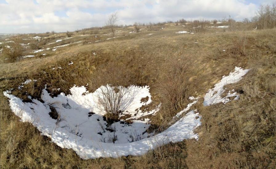 Зайцеве з panoramio.com - Зайцеве