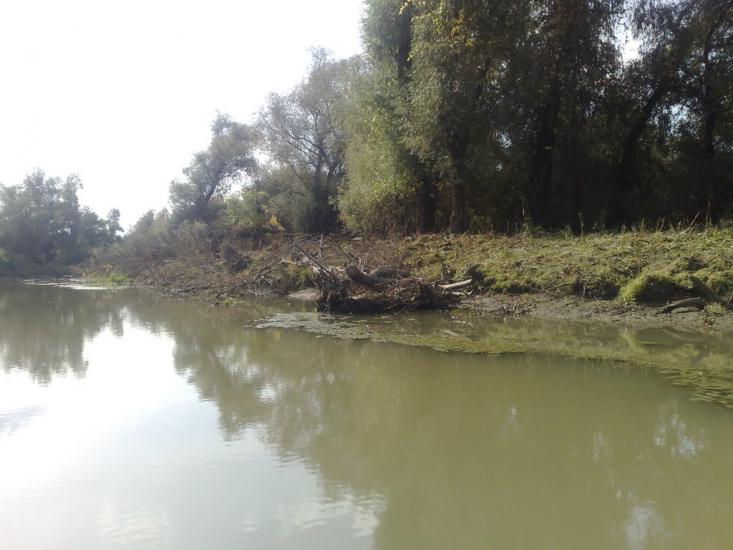 Дунайське з panoramio.com (ч.2) - Дунайське