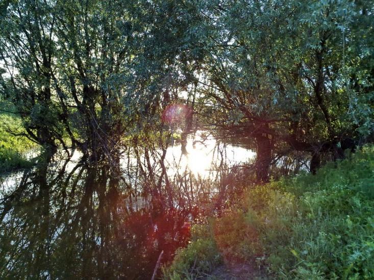 Картушине з panoramio.com - Картушино