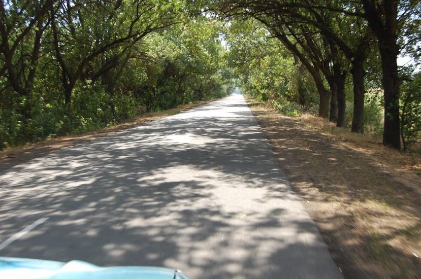 Дмитрівка з panoramio.com - Дмитрівка