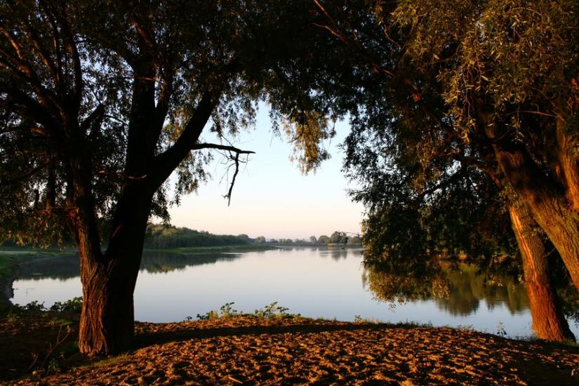 Купчичі з panoramio.com - Купчичі