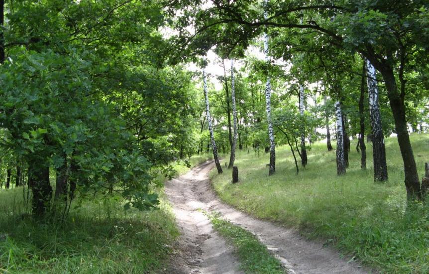 Малий Вистороп з panoramio.com - Малый Выстороп