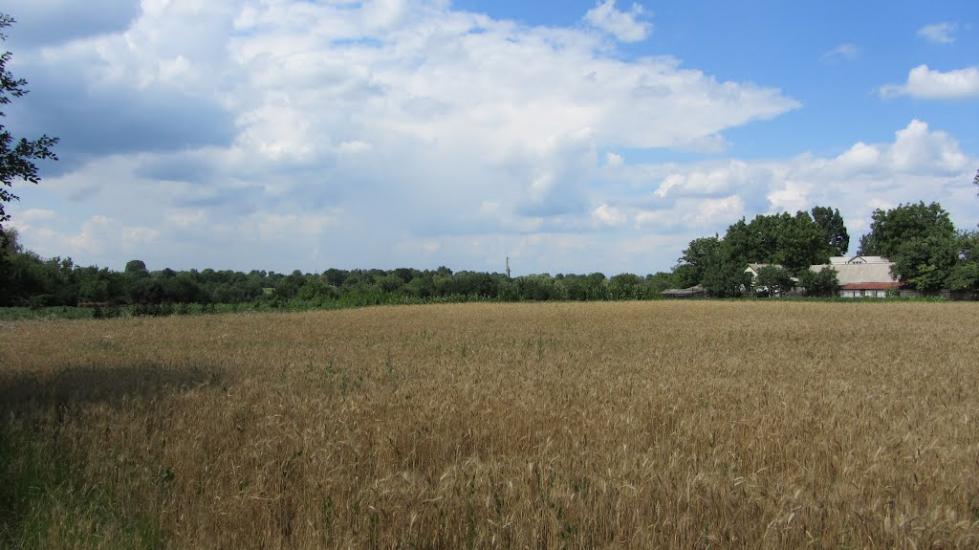 Попівка з panoramio.com - Попівка