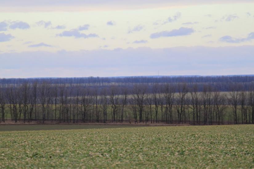 Устя з panoramio.com - Ustya