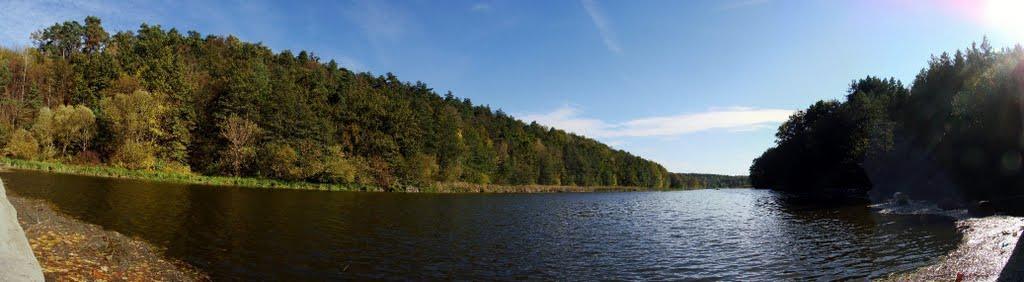Вільха з panoramio.com - Ольха