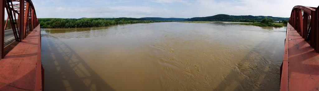 Нижнів з panoramio.com - Нижнев