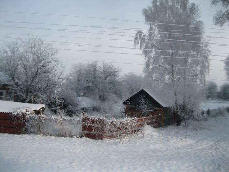 Ріпки з panoramio.com - Ріпки