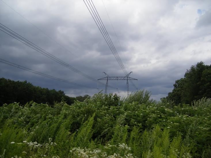 Борщівка з panoramio.com - Борщівка