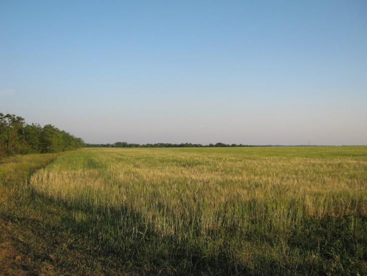 Хоминка з panoramio.com - Хоминка