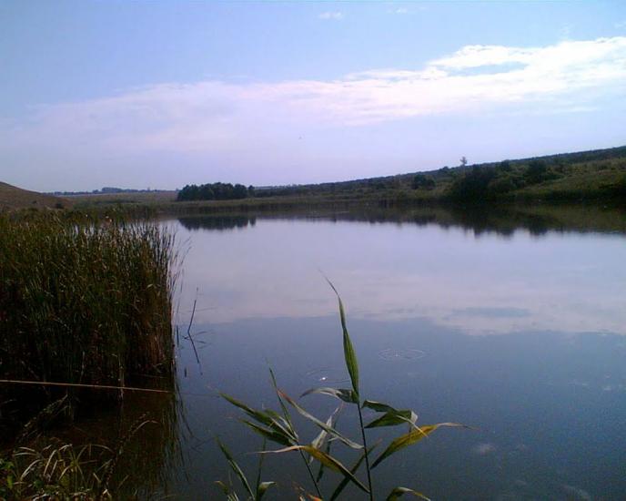 Житенко з panoramio.com - Житенко