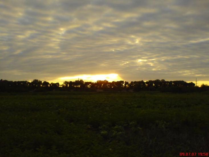 Борова з panoramio.com - Борова