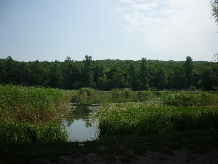 Юрківці з panoramio.com - Юрковцы