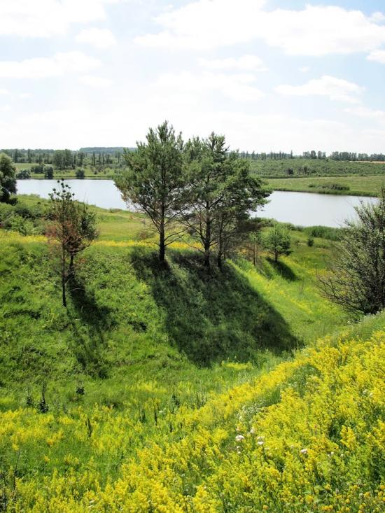 Стуфчинці з panoramio.com - Стуфчинцы