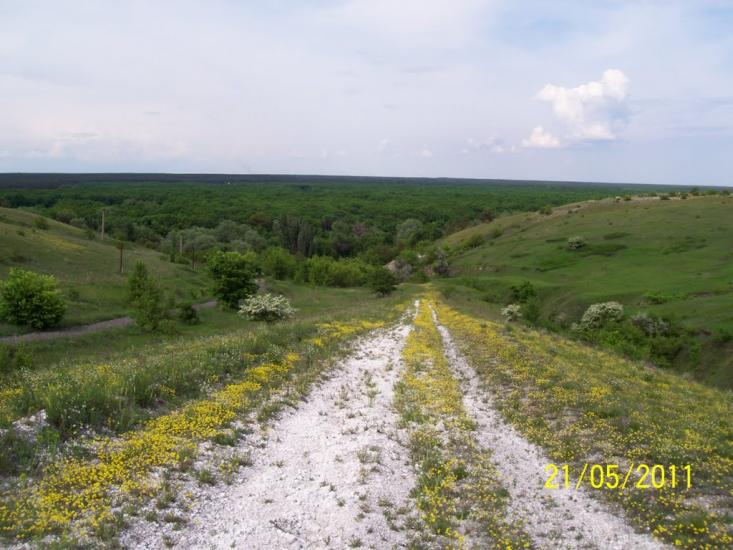 Пискунівка з panoramio.com - Pyskunivka