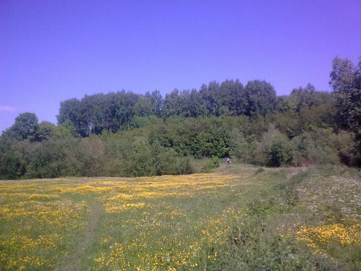 Варівці з panoramio.com - Варівці