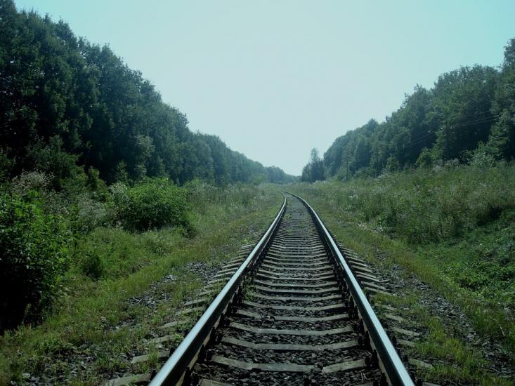 Тарасівка з panoramio.com - Тарасовка