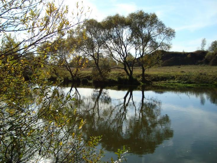 Думенки з panoramio.com - Думенки