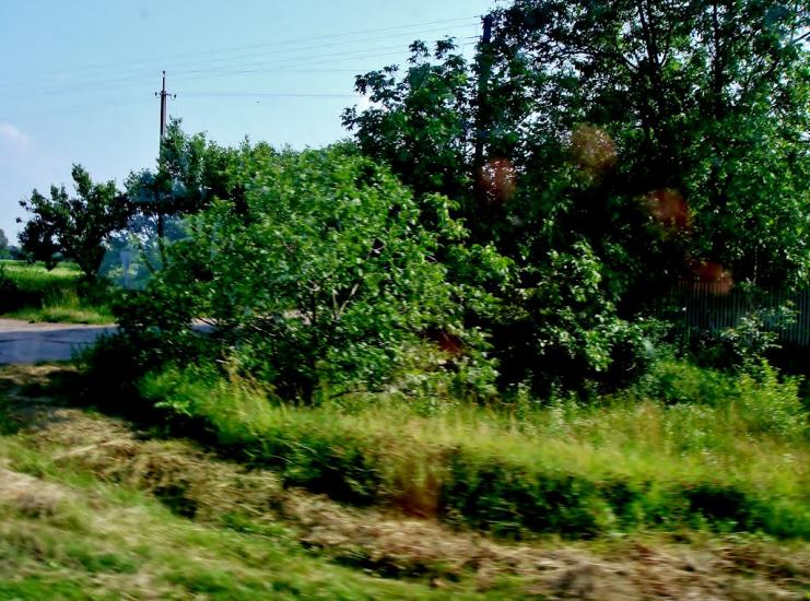 Тараща з panoramio.com - Тараща