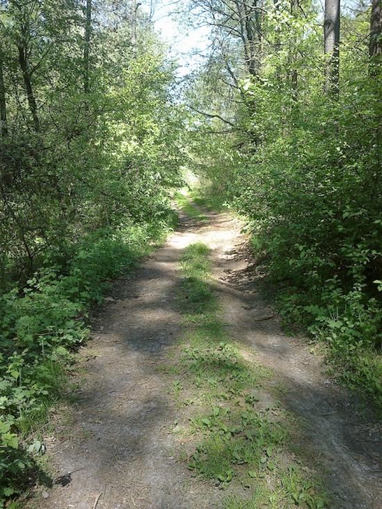 Собичеве з panoramio.com - Собичево