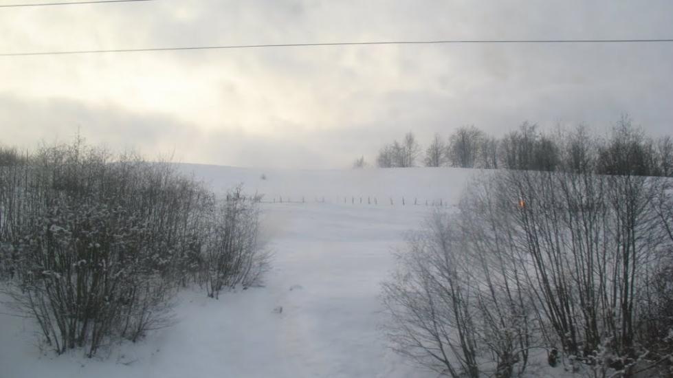 Скотарське з panoramio.com - Skotarske