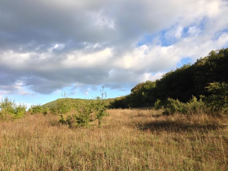 Гончарне з panoramio.com - Гончарное