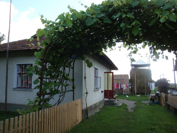 Раківчик з panoramio.com - Раківчик
