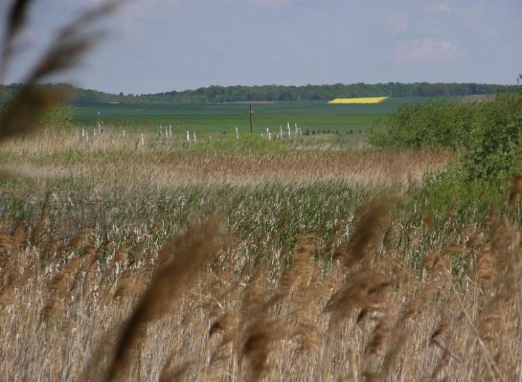 Стаївка з panoramio.com - Stayivka