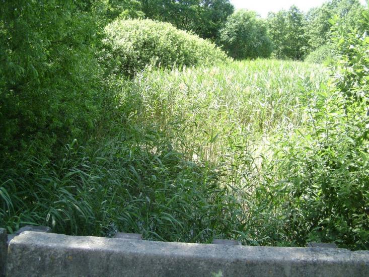 Брагинці з panoramio.com - Брагинці