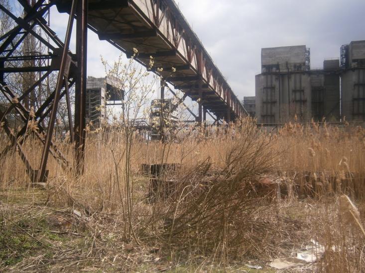 Дем'янка-Наддністрянська з panoramio.com - Демянка-Надднестрянская