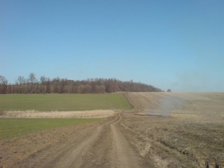 Нестерівці з panoramio.com - Нестерівці