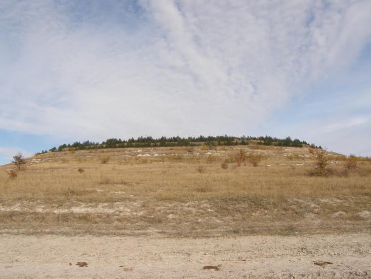 Городище з panoramio.com - Городище