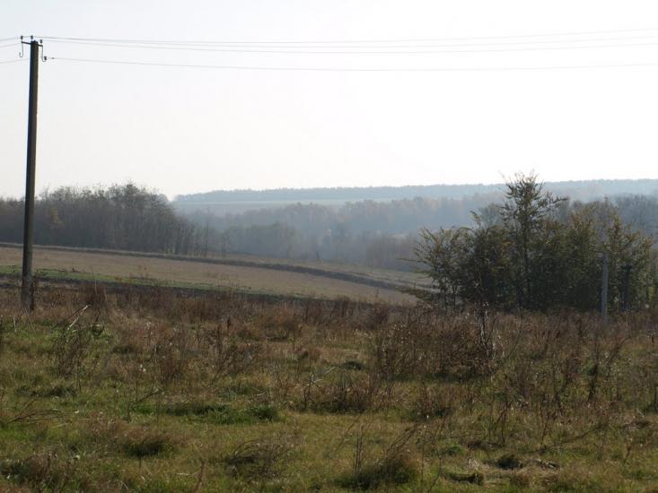 Журавлинка з panoramio.com - Журавлинка