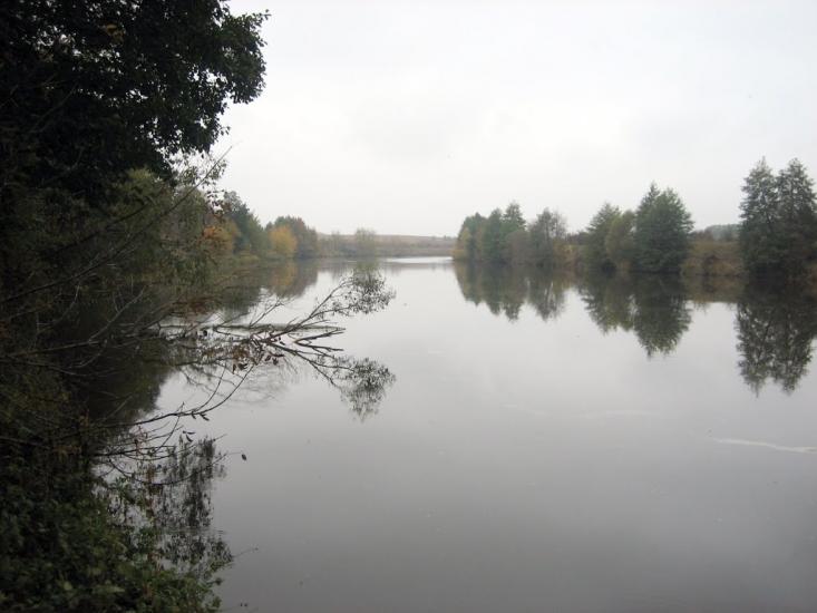 Рогізна з panoramio.com - Рогозна