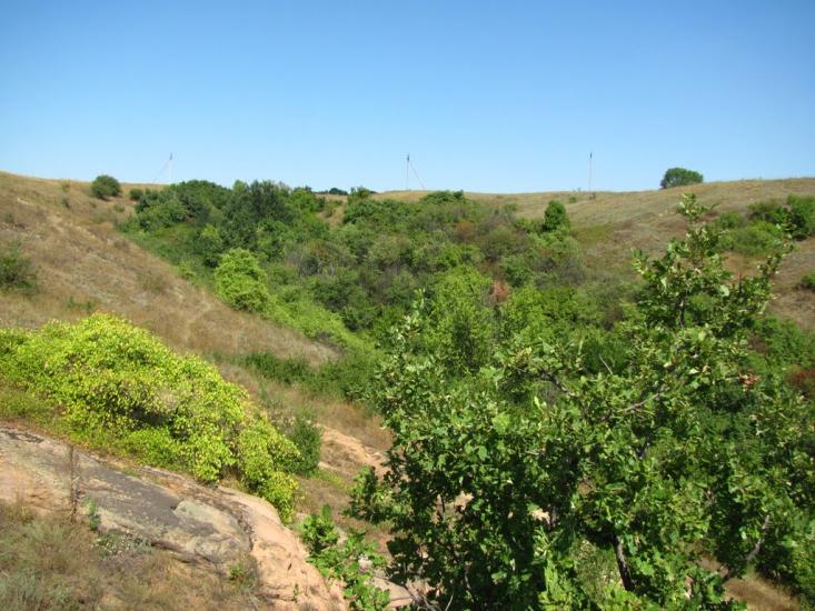 Плещіївка з panoramio.com - Pleschiyivka