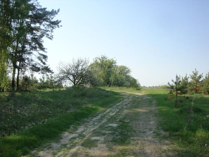 М'ясківка з panoramio.com - М'ясківка