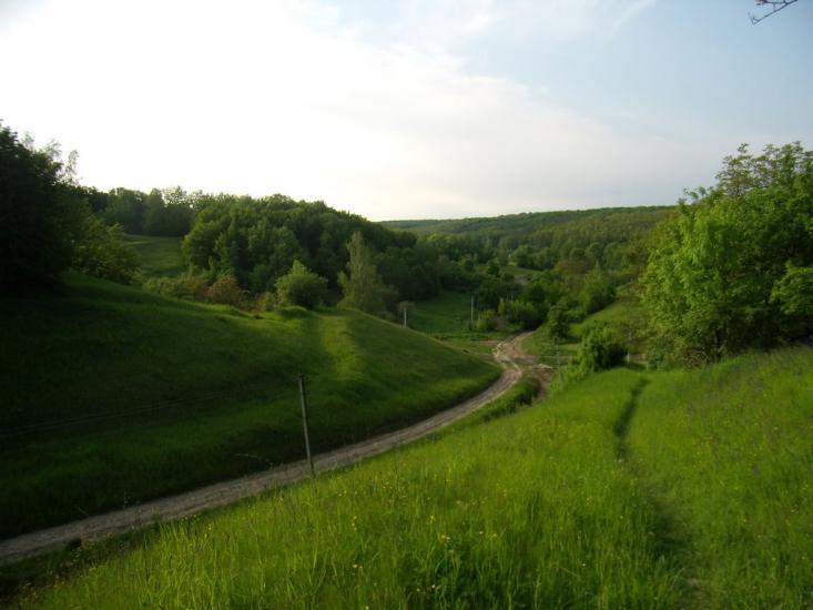 Тараща з panoramio.com - Тараща